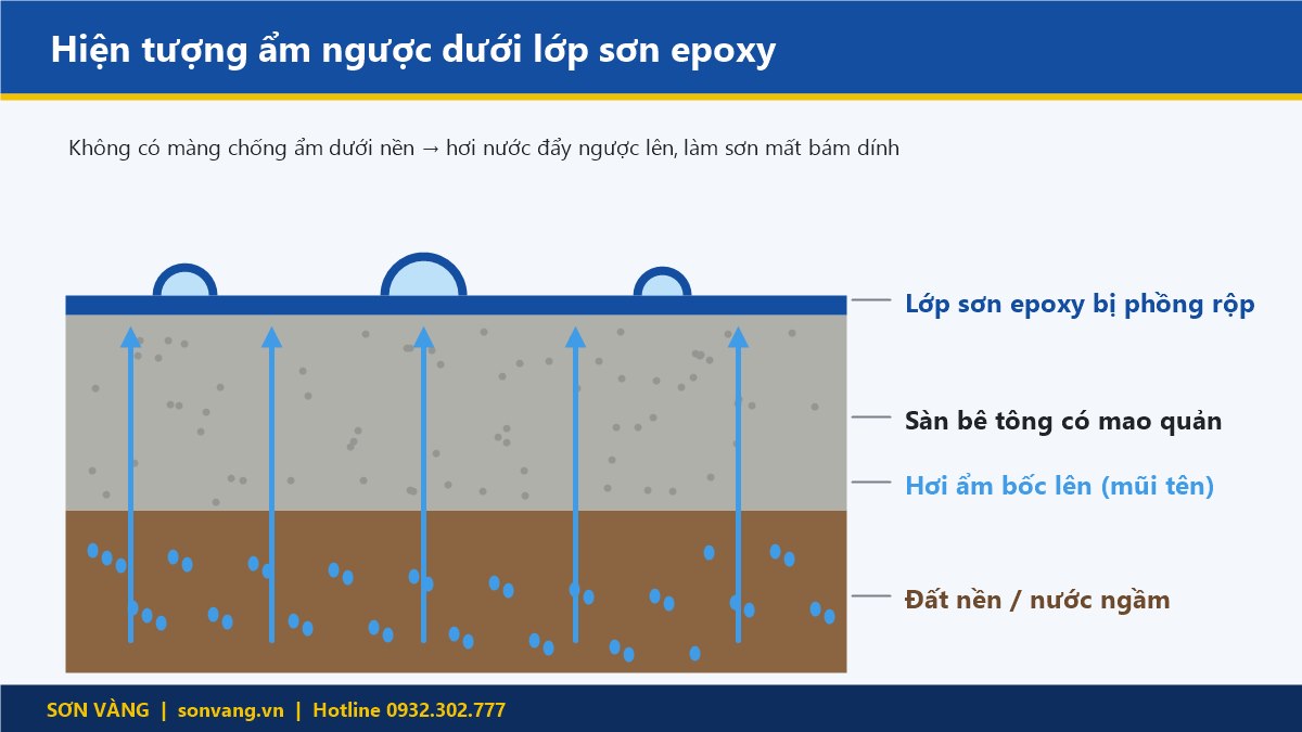 Sơn Nền Epoxy Bị Ẩm Ngược: Nguyên Nhân, Dấu Hiệu Và Cách Xử Lý Triệt Để